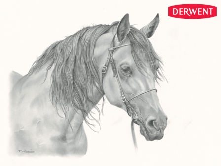 GRAPHIC B grafitová tužka 1ks Derwent