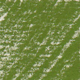 Fine Art pastel - olive green light 47188 - CRETACOLOR